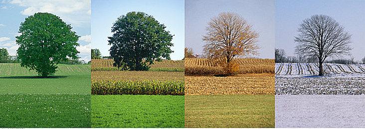 开罗游戏《哆啦A梦的铜锣烧物语》新预告 年内发售